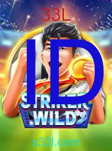 StrikerWILD
